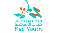 The new Med Youth website is online!